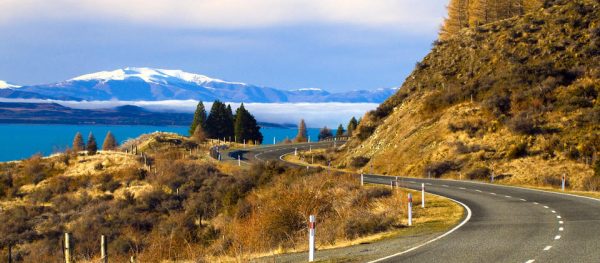 driving-in-new-zealand
